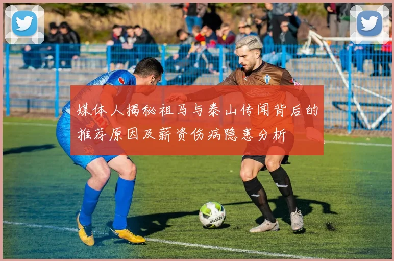 媒体人揭秘祖马与泰山传闻背后的推荐原因及薪资伤病隐患分析